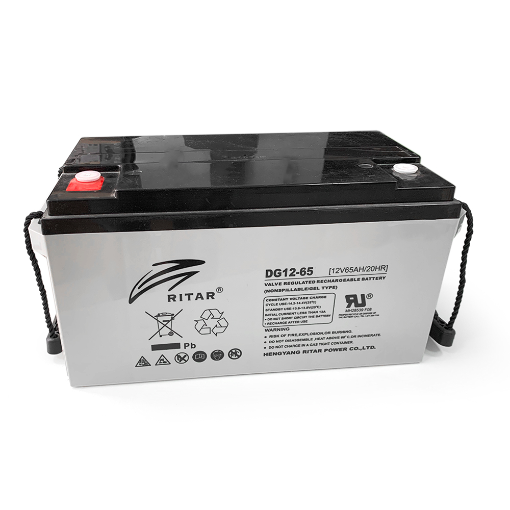 Корпус для акумуляторної батареї RITAR DG1265 (350 х 167 х 182)
