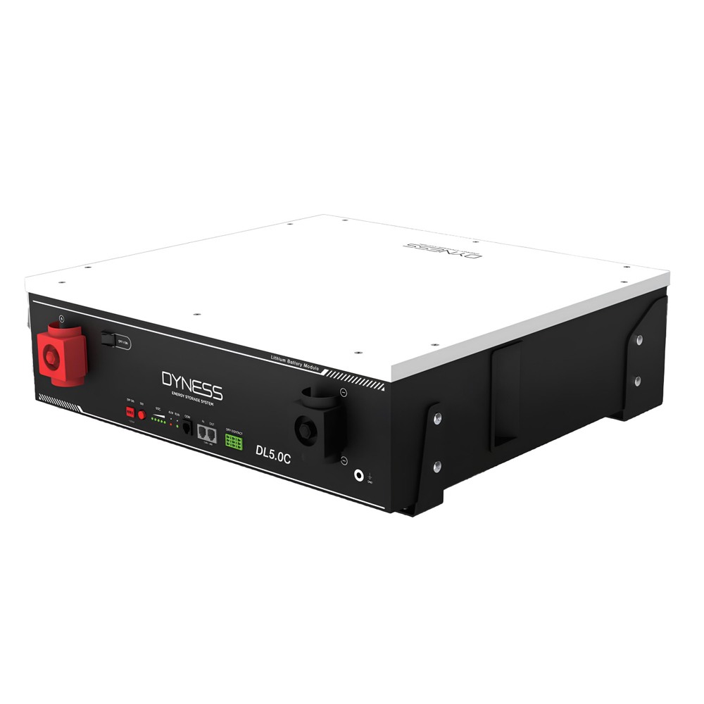 Акумуляторна батарея Dyness DL5.0C-H з підігрівом, 51.2В / 100Ач (5.12 кВт•год), 54 кг, 558х545х150 мм