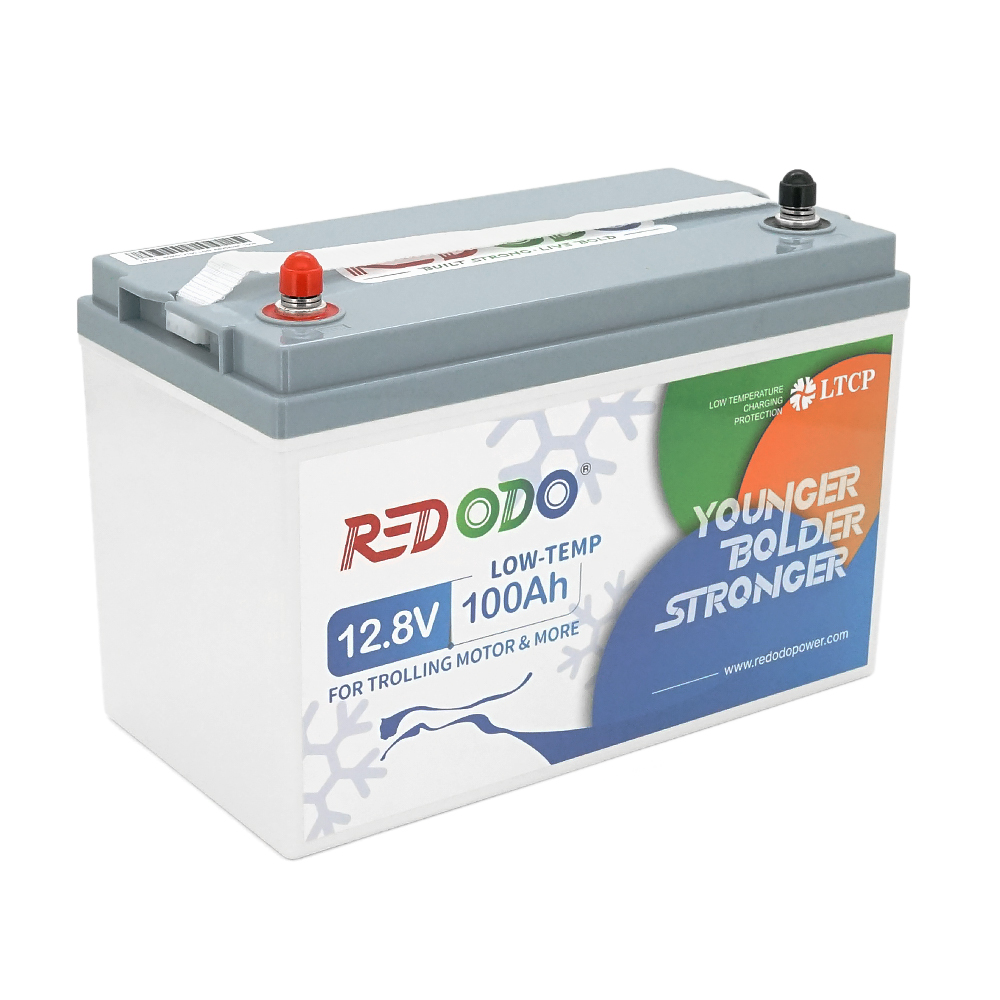 Акумулятор LiFePO4 Redodo 12.8V 100Ah, 1280Wh, BMS 100A, LOW-TEMP, ≥4000 циклів, 330*172*216мм, 10kg